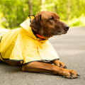 Disposable Fashion hot Sales Rain Gear Dogs Raincoat For Pets